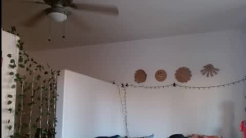 Snapshot of mycock4u247 chatting on February 21, 12:38 am LA MARIPOSA DE MARICOPA online show from February 21, 12:38 am