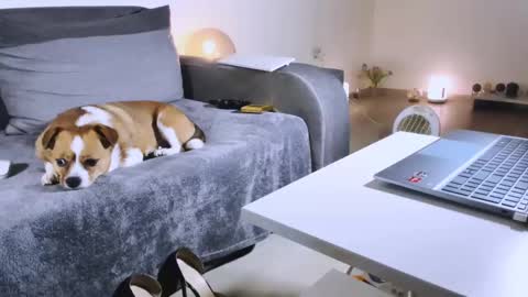 Anda online show from February 17, 11:00 pm