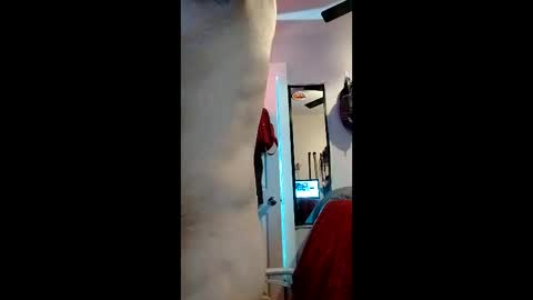 cheesechip online show from December 19, 12:50 am