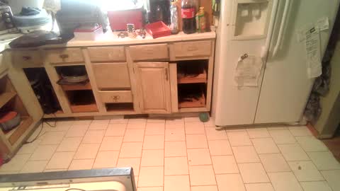 Snapshot of nakednate1780 chatting on December 25, 2:23 pm nakednate1780 online show from December 25, 2:23 pm