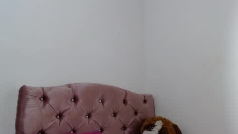 Sammy online show from February 15, 9:49 am