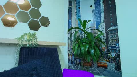 Kitten online show from March 10, 2:16 pm