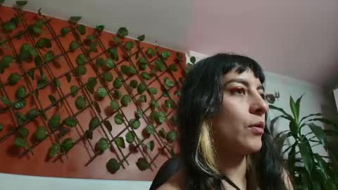 Kitten online show from April 13, 11:36 am