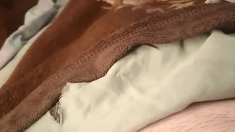 Matt online show from January 18, 6:39 pm