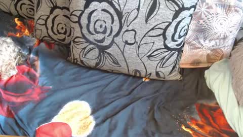 Lilly  online show from April 6, 4:46 am