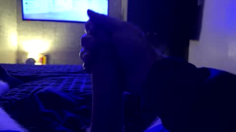 newboi92 online show from November 27, 10:28 pm