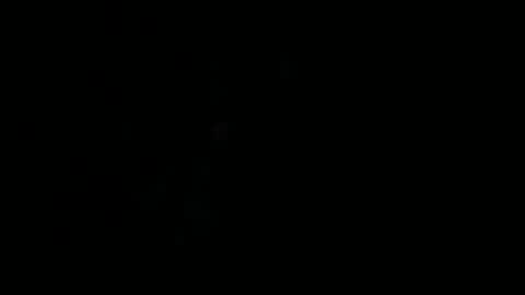 newzex66 online show from October 1, 10:14 am