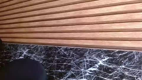 Michell  online show from September 10, 3:29 am