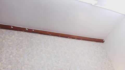 Nicol online show from October 3, 7:44 pm