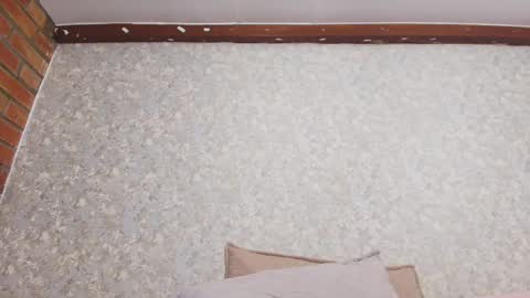 Nicol online show from September 23, 8:15 pm