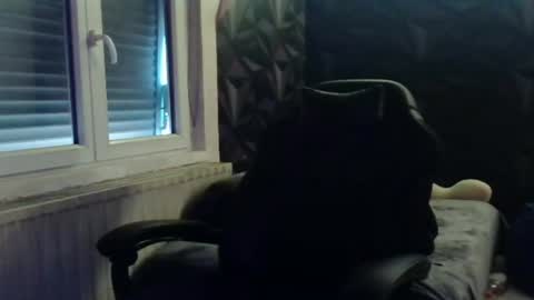 niglo620 online show from June 19, 3:51 pm