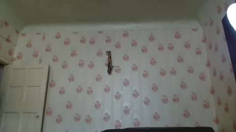 Nika online show from February 27, 5:29 am