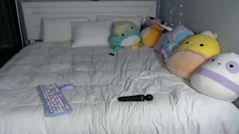 nikayasworld online show from October 26, 7:42 am