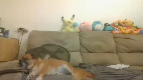 Brian and Logan Brogan online show from November 4, 3:35 pm