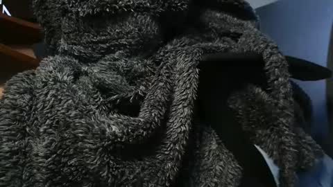 nineinchhard online show from January 26, 11:06 am