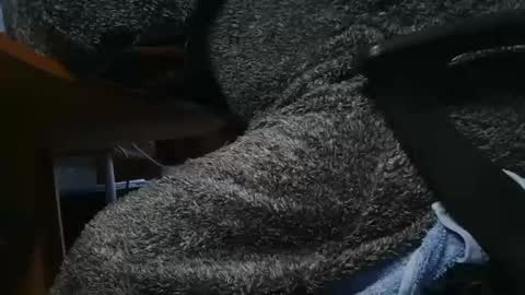 nineinchhard online show from January 23, 10:22 am