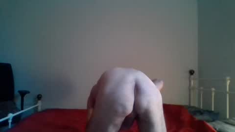 nirevess online show from January 15, 11:32 am