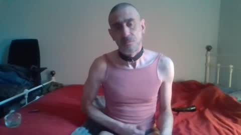 nirevess online show from February 11, 2:57 pm