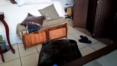 Snapshot of nobudget06 chatting on February 25, 11:04 pm nobudget06 online show from February 25, 11:04 pm