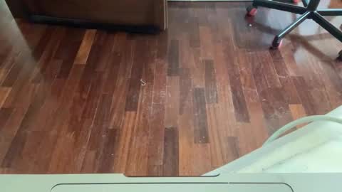 Archangel online show from April 25, 1:52 pm