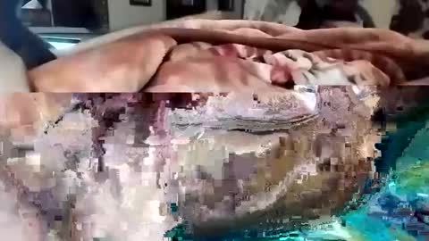 sim  nib online show from March 1, 10:31 pm