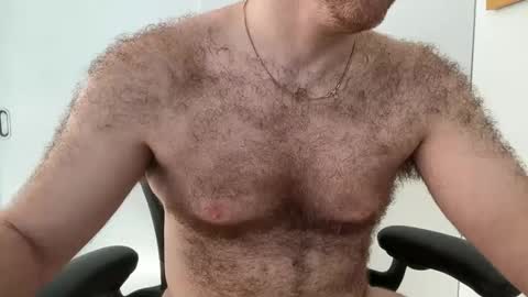 No Plan online show from February 1, 1:52 pm