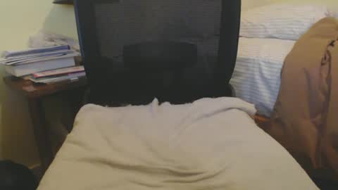 nopoman55 online show from February 26, 8:50 am