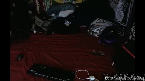 FREAKY DRACULA online show from March 17, 7:35 am