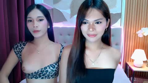 novalustre69 online show from April 7, 11:12 am