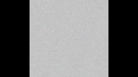 Obsidian stallion online show from November 17, 4:53 pm