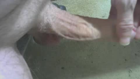 odentonman4fun online show from June 23, 10:44 am