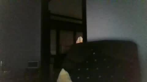 Officer online show from December 26, 7:45 am