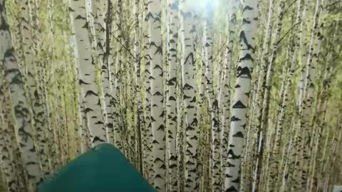 Mistress Olivia online show from March 10, 9:40 pm