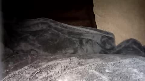 Snapshot of onlyonefinger chatting on September 12, 10:12 pm onlyonefinger online show from September 12, 10:12 pm