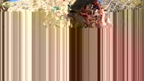 choont-berry delux669 online show from February 26, 8:58 pm