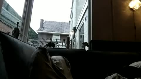 Openminded online show from December 30, 9:05 am