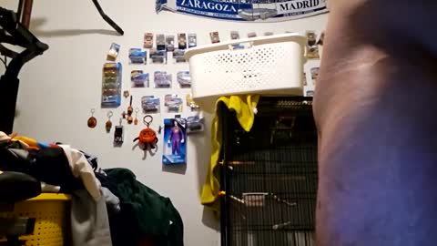 orlandovilla48 online show from April 19, 5:14 pm