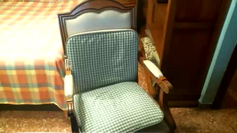 Oscar online show from October 5, 4:36 pm