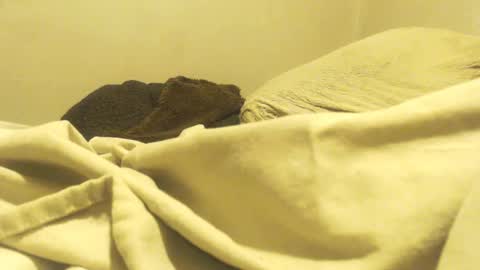 OsoFroze online show from February 27, 2:35 am