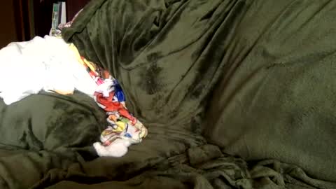 paintdude424 online show from September 9, 3:34 pm