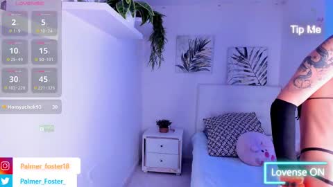 Palmer  online show from March 1, 10:42 pm