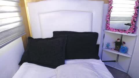 Palmer online show from January 11, 12:40 pm