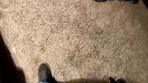 palote_69 online show from November 15, 3:30 am