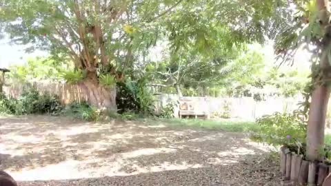 paoguerrax354 online show from September 11, 3:02 pm