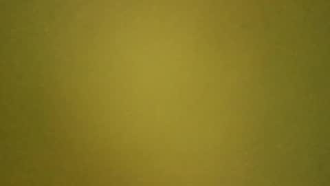 LaRocca online show from March 14, 10:52 am