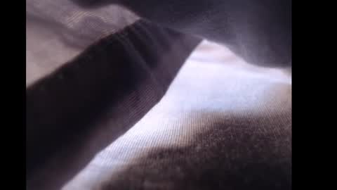 parrotpenis1 online show from December 9, 6:35 pm