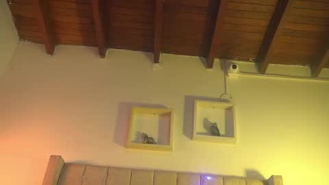 patty online show from December 15, 12:01 pm