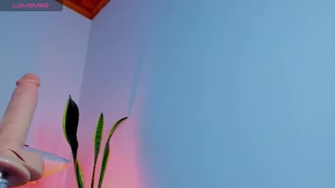 Paula perez - online show from December 3, 11:11 am