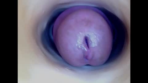 Paula 18 Aninhos online show from March 2, 7:12 pm