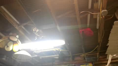 paulstetson online show from December 15, 5:03 am